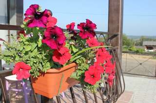 Гостиница Колесо Вельск-6